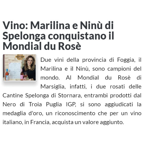 FOGGIA CITTÀ APERTA | Vino: Marilina e Ninù di Spelonga conquistano il Mondial du Rosè